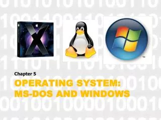 Operating System: MS-DOS and Windows