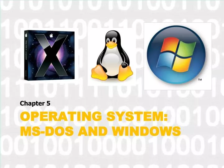 operating system ms dos and windows