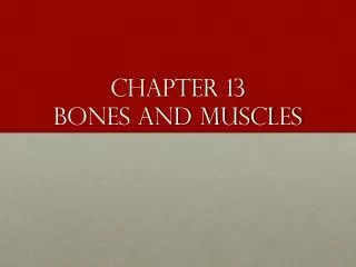 Chapter 13 Bones and muscles