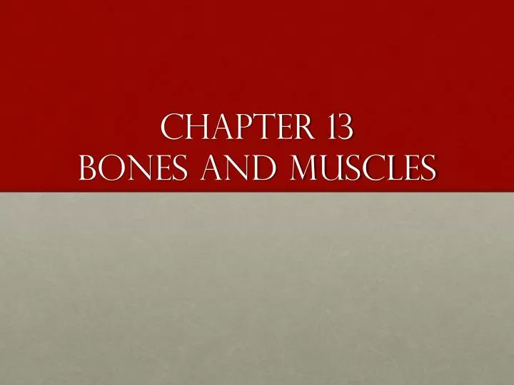 chapter 13 bones and muscles