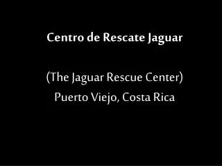 Centro de Rescate Jaguar (The Jaguar Rescue Center) Puerto Viejo, Costa Rica