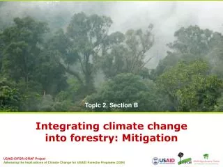 Integrating climate change into forestry: Mitigation