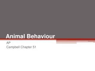 Animal Behaviour