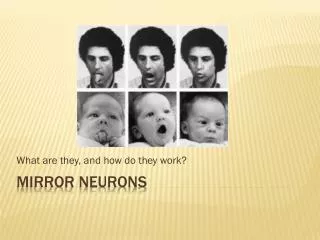 Mirror neurons