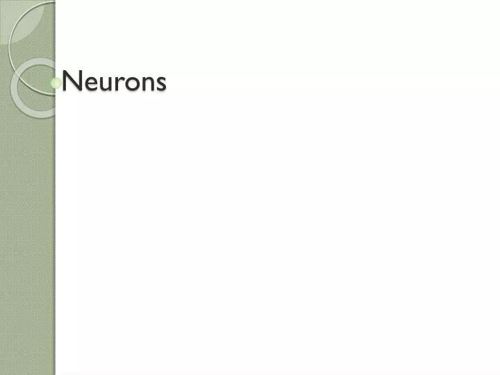 neurons