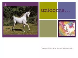 unicorns…