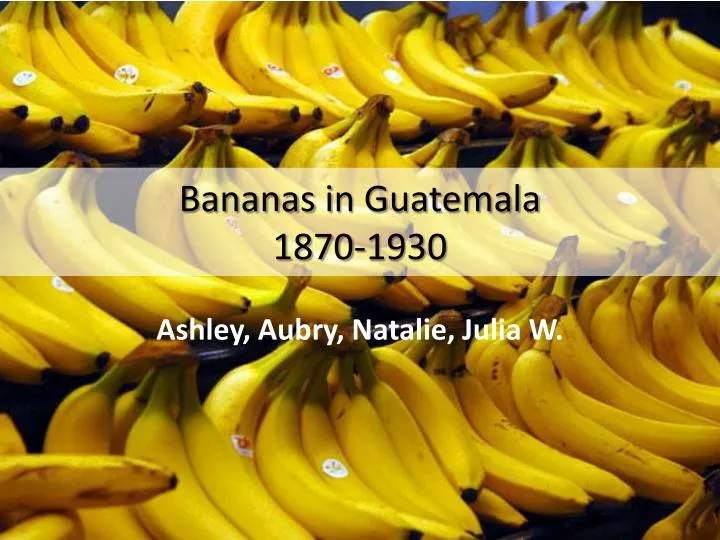 bananas i n guatemala 1870 1930