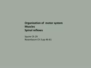 O rganization of motor system Muscles Spinal reflexes Squire Ch 29 Rosenbaum Ch 3 pp 46-61