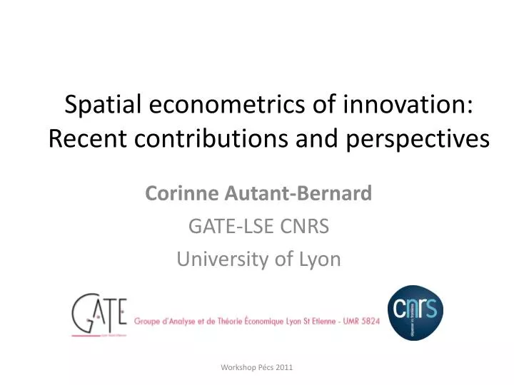 spatial econometrics of innovation recent contributions and perspectives