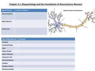 Label the Parts of the Neuron