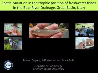 Mason Segura, Jeff Wesner and Mark Belk Department of Biology Brigham Young University