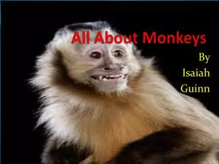 All About Monkeys