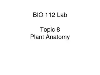 BIO 112 Lab Topic 8 Plant Anatomy