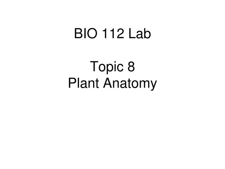 bio 112 lab topic 8 plant anatomy