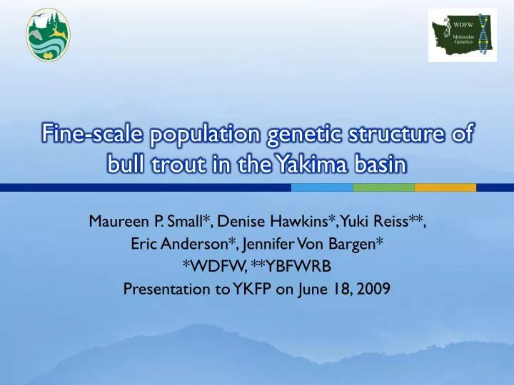 fine scale population genetic structure of bull trout in the yakima basin