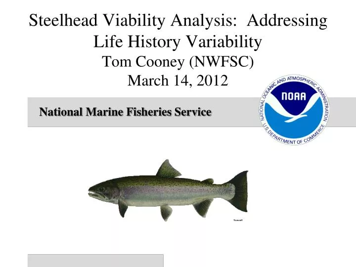 steelhead viability analysis addressing life history variability tom cooney nwfsc march 14 2012