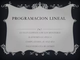 programacion lineal