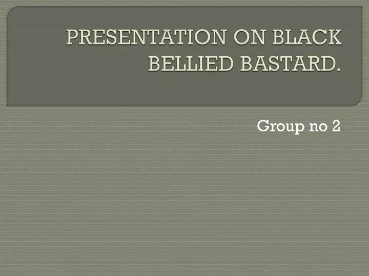 presentation on black bellied bastard