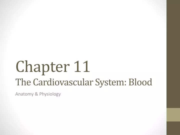chapter 11 the cardiovascular system blood