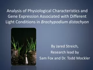 By Jared Streich, Research lead by Sam Fox and Dr. Todd Mockler