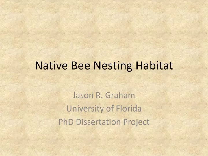 native bee nesting habitat