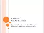 Chapter 3 Gabor Patches - slide 1