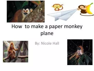 How to make a paper monkey plane