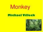 Monkey