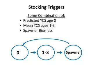 Stocking Triggers Some Combination of: Predicted YCS age 0 Mean YCS ages 1-3 Spawner Biomass