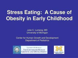 Stress Eating: A Cause of Obesity in Early Childhood