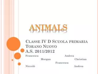 Classe IV D Scuola primaria Torano Nuovo A.S. 2011/2012