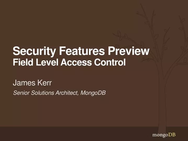 security features preview field level access control