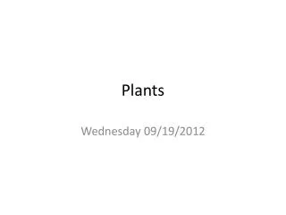 Plants