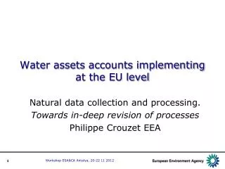 Water assets accounts implementing at the EU level
