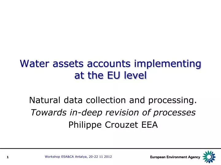 water assets accounts implementing at the eu level