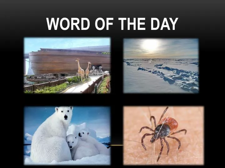 word of the day