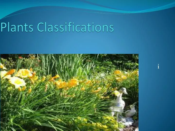 plants classifications