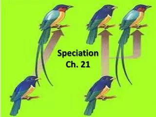 Speciation Ch. 21