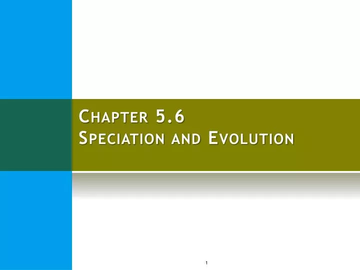 chapter 5 6 speciation and evolution