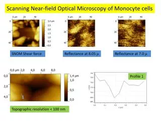 Scanning Near-field Optical Microscopy of Monocyte cells