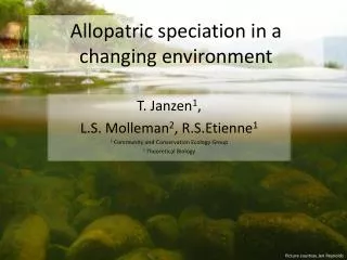 Allopatric speciation in a changing environment