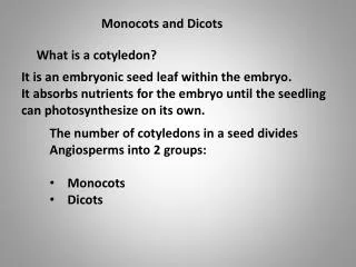 Monocots and Dicots