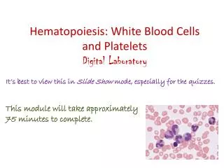 Hematopoiesis: White Blood Cells and Platelets Digital Laboratory