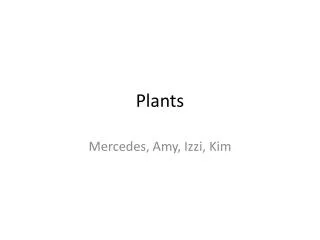 Plants