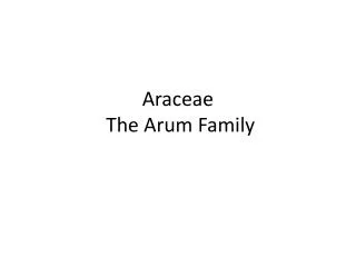 Araceae The Arum Family