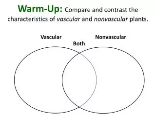 Warm-Up: Compare and contrast the characteristics of vascular and nonvascular plants.