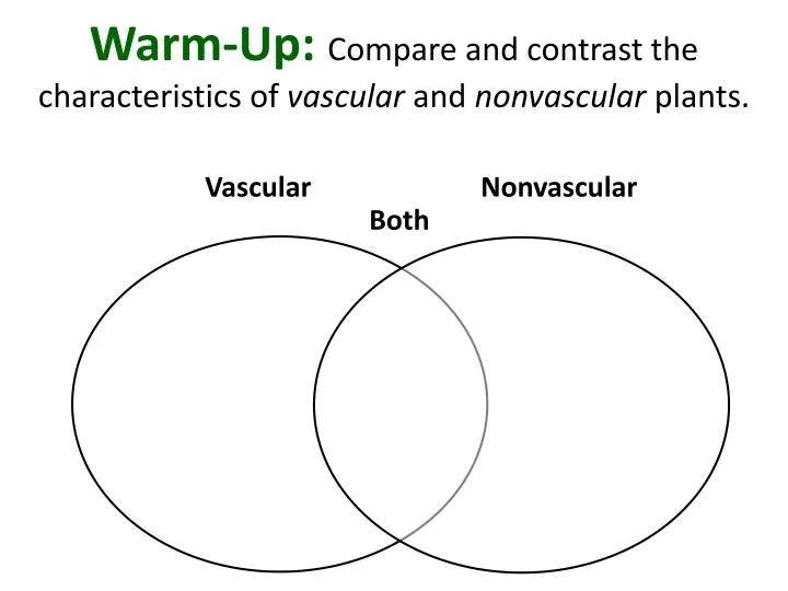 warm up compare and contrast the characteristics of vascular and nonvascular plants