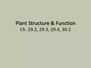 Plant Structure &amp; Function Ch. 29.2, 29.3, 29.4, 30.2