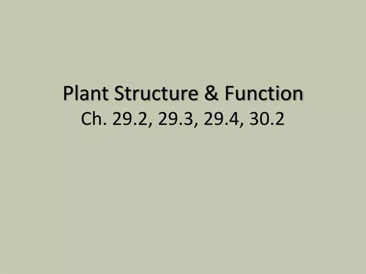 plant structure function ch 29 2 29 3 29 4 30 2
