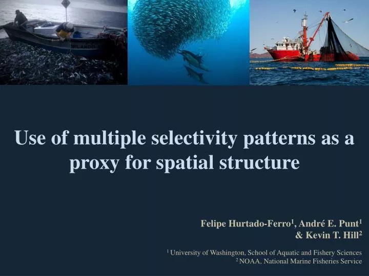 use of multiple selectivity patterns as a proxy for spatial structure